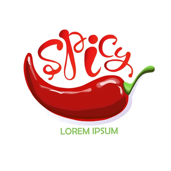 Typografie banner Spicy, Lorem ipsum, red hot chili peppers hand getrokken schilderij voorraad vectorillustratie, voor label, voor menu — Stockvector