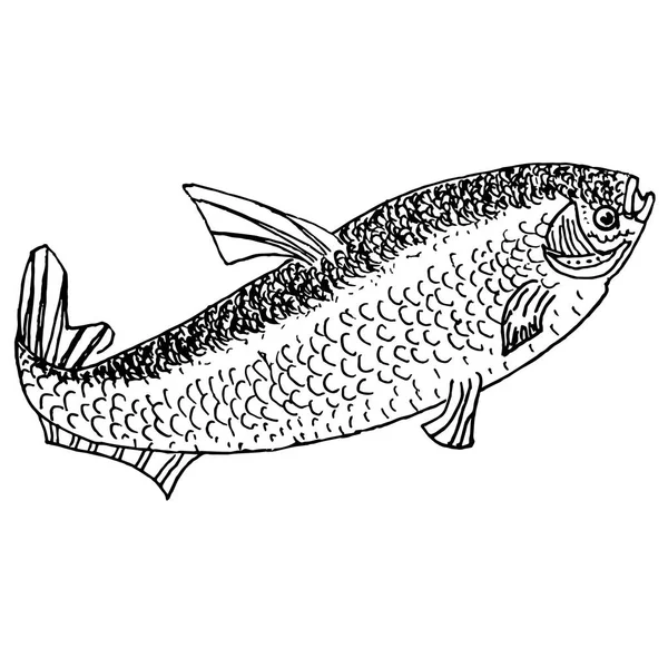 Χέρι Συρμένο Μελάνι Μονόχρωμη Σκίτσο Του Εικονογράφηση Διάνυσμα Απόθεμα Ψαριών — Διανυσματικό Αρχείο