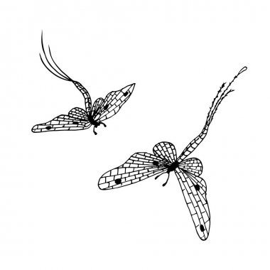 Hisse senedi vektör çizim tasarım öğesi için elle çizilmiş mürekkep tek renkli mayflies kroki