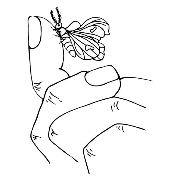 Монохромний Ескіз Метелика Пальцях Намальований Рукою Векторна Ілюстрація Елемент Дизайну — стоковий вектор