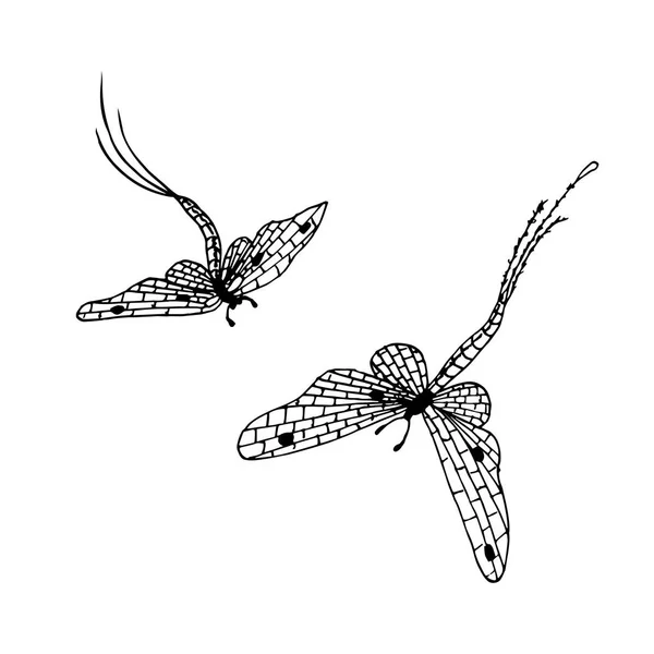 Tinta Desenhada Mão Monocromática Mayflies Esboço Estoque Vetor Ilustração Para — Vetor de Stock