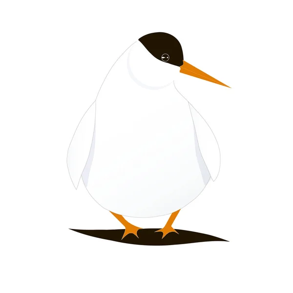 Cartoons Bird Arctic Tern Stock Illustration Web Print Фауна Арктики — стоковый вектор