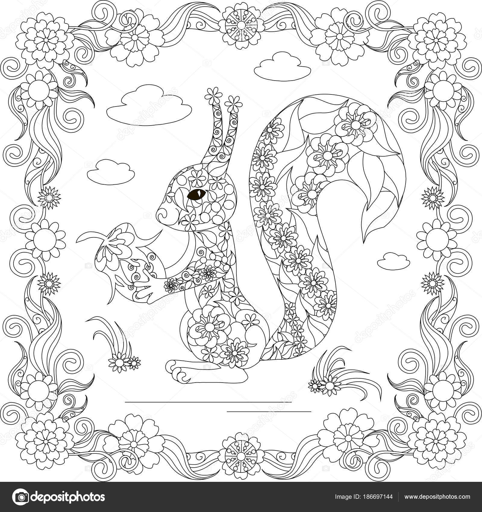 Doodle Monochroom Eekhoorn Bloem Frame Zwart Wit Tekening Kleurplaat