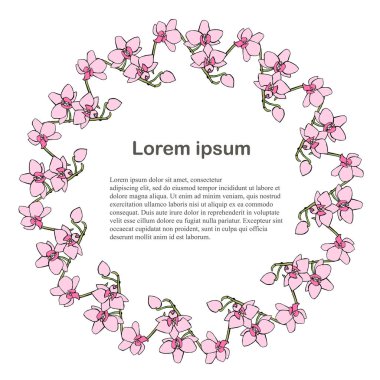 Yuvarlak pembe orkide çiçekler arka plan, Lorem Ipsum. Elle çizilmiş mürekkep hisse senedi vektör çizim, tasarım öğesi web, baskı için