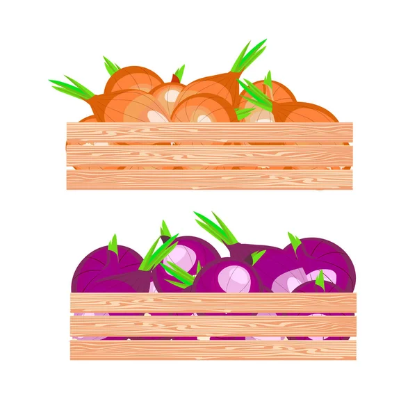 Cebolla Roja Caja Madera Vegetariano Comida Arte Diseño Elemento Stock — Vector de stock