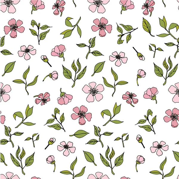 Sakura Patrón Sin Fin Flores Rosas Hojas Verdes Blanco Dibujado — Archivo Imágenes Vectoriales