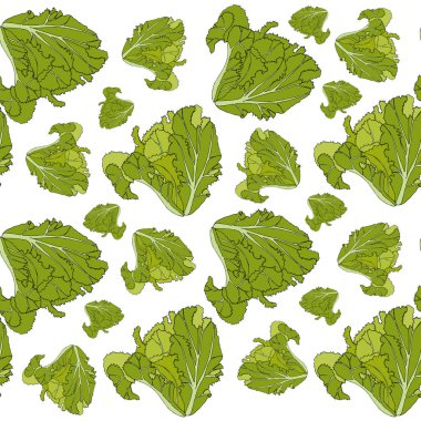 Salata pürüzsüz desen. Beyaz sanat tasarım gıda element stok vektör illüstrasyonunda yeşil yapraklar web, baskı, market, duvar kağıdı, paketleme tasarımı, ürün tasarımı için