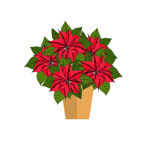 Poinsettia Piros Virág Pot Art Design Tárgy Elszigetelt Állomány Vektor — Stock Vector