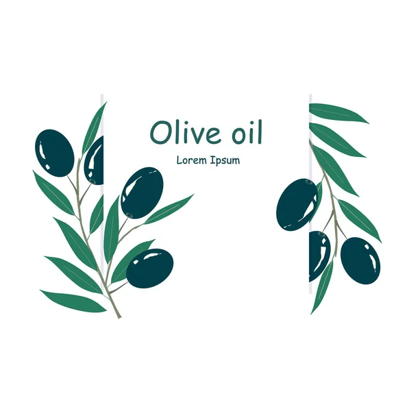Olivenöl Etikett Lorem Ipsum Schwarze Oliven Grüne Blätter Auf Weißem — Stockvektor