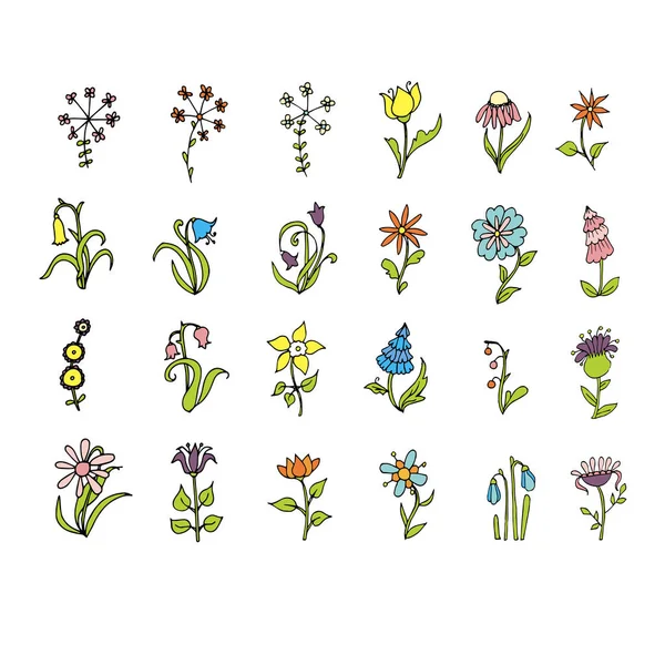 Çiçek Karalama Seti Çizimi Mürekkep Çizimi Renkli Sanat Tasarımı Elementleri — Stok Vektör