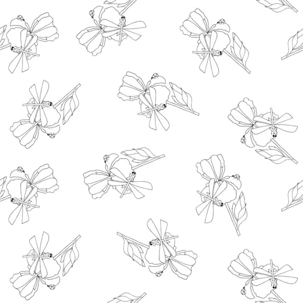 Dragonfly Πασχαλίτσα Αράχνη Στην Ίριδα Λουλούδι Αδιάλειπτη Μοτίβο Μονόχρωμη Ζωγραφισμένα — Διανυσματικό Αρχείο