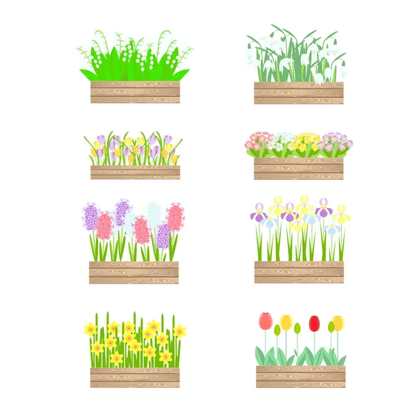 Blommor Trälådan Snödroppar Hyacinter Påskliljor Tulpaner Krokusar Primulor Iris Art — Stock vektor