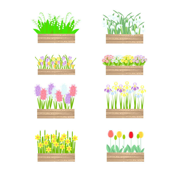 Flowers in wood box set. snowdrops, hyacinths, daffodils, tulips, crocuses, primroses, irises art design element stock vector illustration for web, for print