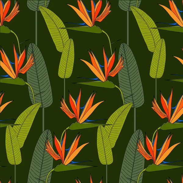 Padrão Sem Costura Strelitzia Arte Design Estoque Vetor Colorido Fundo — Vetor de Stock