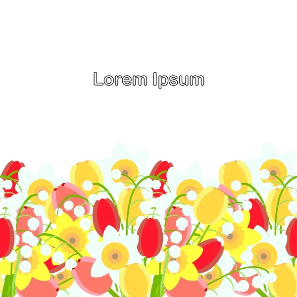 Lily Údolí Tulipán Narcis Horisontálním Pozadí Lorem Ipsum Art Jaro — Stockový vektor