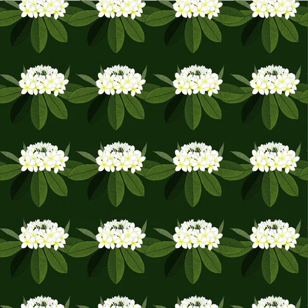 Plumeria Bílá Květina Zelené Listy Bezešvé Vzor Art Design Element — Stockový vektor