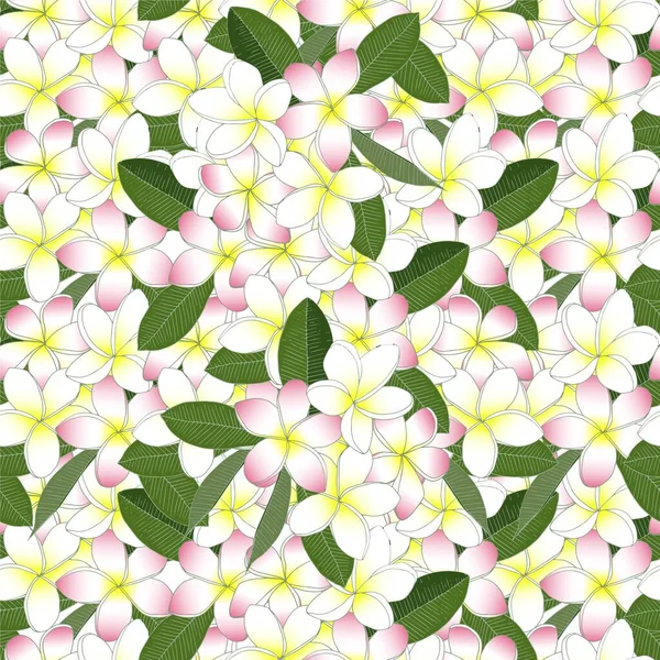 Plumeria Hladký Vzor Bílá Růžová Žlutá Květina Zelené Listy Art — Stockový vektor