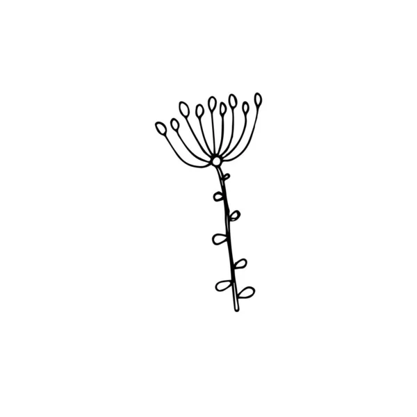 Декоративна Рослина Руці Намальований Квітковий Елемент Дизайну Запас Векторні Ілюстрації — стоковий вектор