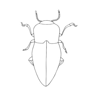Böcek. Tek renkli el çizimi mürekkep tasarımı elementleri web, baskı, boyama kitabı ve simge için stok vektör çizimi