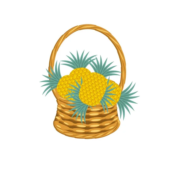 Pinapple Kosárban Fonott Szőlő Trópusi Gyümölcs Művészet Design Elemek Objektum — Stock Vector
