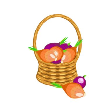 Asmalı soğan sepeti sepeti. Sanat tasarım ögeleri nesne izole edilmiş hisse senedi vektör ilüstrasyonu web için, yazdırma