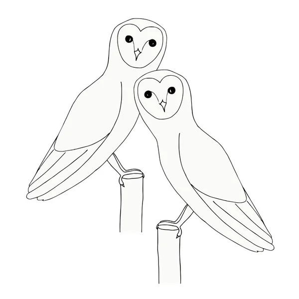Gufi Inchiostro Mano Disegno Carino Uccello Oggetto Isolato Arte Disegno — Vettoriale Stock