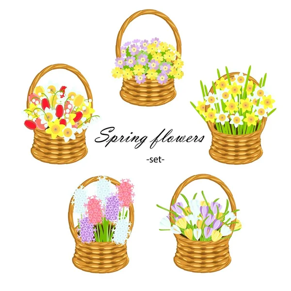 Set Fleurs Printemps Daffodeal Tulipe Jacinthe Primarose Crocus Wicker Basket — Image vectorielle