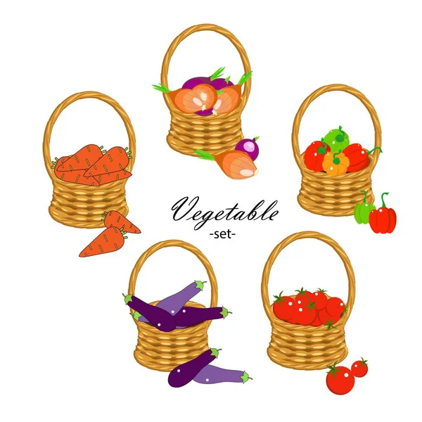 Conjunto Verduras Zanahoria Berenjena Campana Papper Cebolla Tomate Canasta Mimbre — Vector de stock
