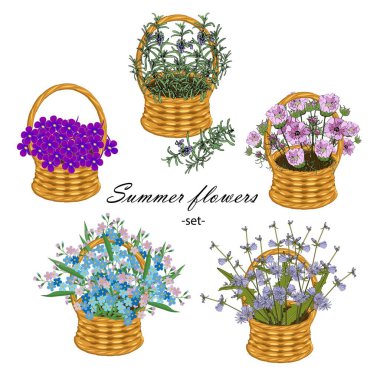 Yaz çiçeği seti. Boşluk, unutma-beni-unutma, hindiba, unutma- unutma, sepet içinde menekşe ürün tasarımı için, paketleme tasarımı için, web için, baskı için