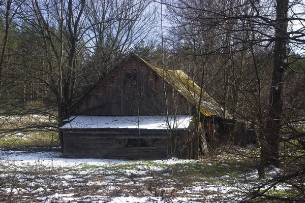 Foresters Cabine na primavera na floresta — Fotografia de Stock