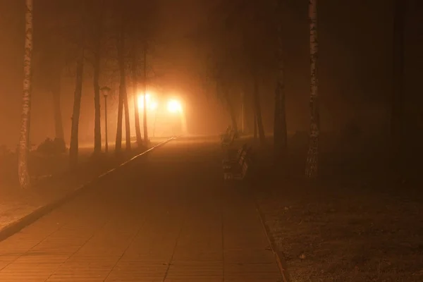 Panchina nella nebbia — Foto Stock