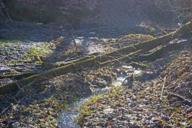 Bahar creek adlı sabah güneş ışınları