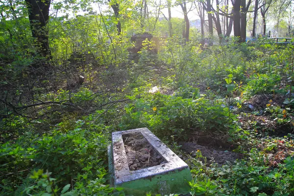 Oude grafsteen op kerkhof in de buurt van bomen. — Stockfoto
