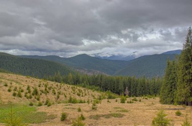 Karpat dağlarında ilkbahar manzarası