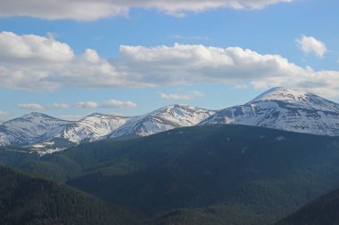 Karpat dağlarında ilkbahar manzarası