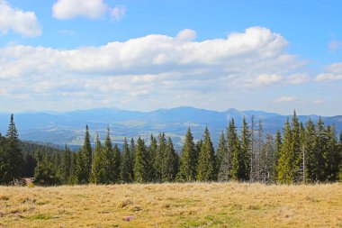 Karpat dağlarında ilkbahar manzarası