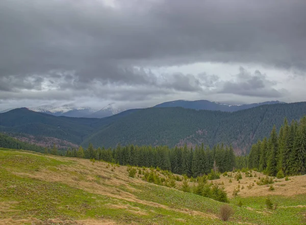 Paisagem de primavera nas montanhas dos Cárpatos — Fotografia de Stock