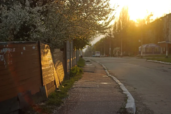 Вечір на подвір'ї з літнім сонцем — стокове фото