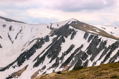 Karpat dağlarında ilkbahar manzarası