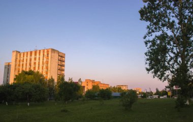 Akşam yaz güneş arka plan ile bahçesinde