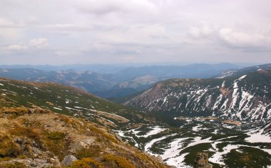 Karpat dağlarında ilkbahar manzarası