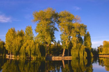 Romantik ada, Tarnopol, Ukrayna