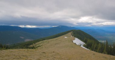 Karpat dağlarında ilkbahar manzarası