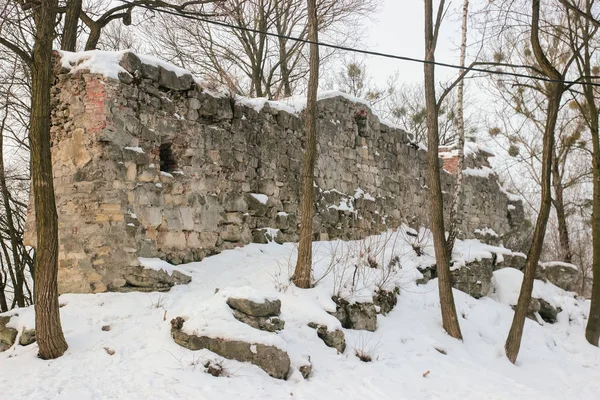 冬の城の遺跡 — ストック写真