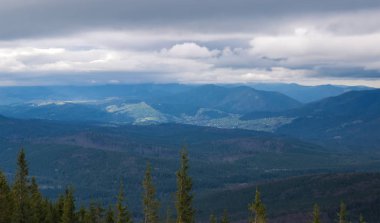 Karpat dağlarında ilkbahar manzarası