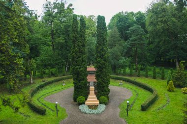 Parkta yağmurlu sabah