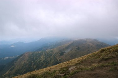 Karpat dağlarında ilkbahar manzarası
