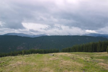 Karpat dağlarında ilkbahar manzarası