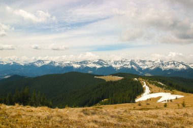 Karpat dağlarında ilkbahar manzarası