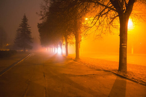 Ночная улица в тумане
